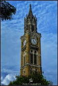 IIP Online Student Photography
